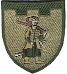 Шеврон 110 окрема бригада ТрО (Запорізька область)