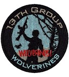 Шеврон 13 th group Wolverines