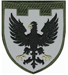 Шеврон 119 окрема бригада ТрО (Чернігівська область)