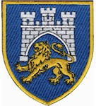 Шеврон 125 окрема важка механізована бригада (кольоровий)