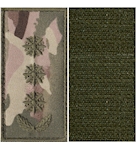 Погони Поліції охорони полковник (на липучці)