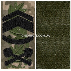 Погон сувенірний майстер-сержант (на липучці)