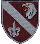 Шеврон 8 окремий розвідувальний батальйон 8 десантно-штурмового корпусу (кольоровий)