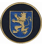 Шеврон НГУ Львів (кольоровий)