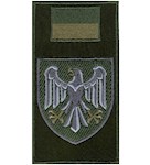 Шеврон-заглушка на липучці 82 ОДШБр (польовий прапорець)
