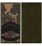 Погон НГУ майстер-сержант (кант зелений, на липучці)