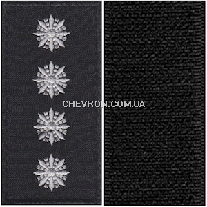 Погони Поліції охорони капітан (на липучці)