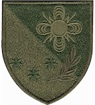 Шеврон 57 окремий полк зв'язку та РТЗ повітряних сил ЗСУ