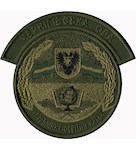 Шеврон  Чернігівський ліцей з ПВФП (ОДА УОІН)