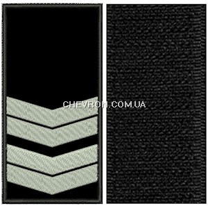 Погони ВОХР охоронець 4 розряду (на липучці)