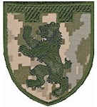 Шеврон 101 окрема бригада ТрО (Закарпатська область)