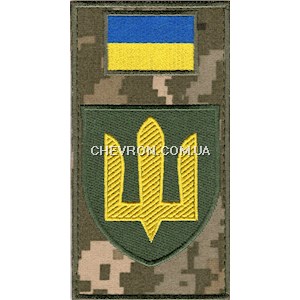 Шеврон-заглушка на липучці ЗСУ Сухопутні війська (зашите поле)