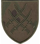 Шеврон 20 армійський корпус