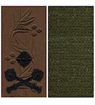 Погон ЗСУ бригадний генерал (на липучці)