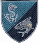 Шеврон 40 ОБрБО Медична рота (кольоровий)