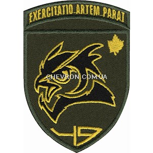 Шеврон 49 Навчальний центр розвідки (кольоровий)