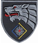 Шеврон ССО Рух опору