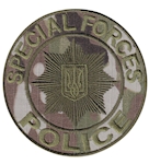 Шеврон Police special forces
