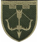 Shevron 118 otdel'naya brigada TrO (Cherkasskaya oblast')