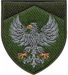 Шеврон Чернівецький ОТЦК та СП