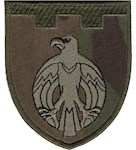 Шеврон 121 окрема бригада ТрО (Кіровоградська область)