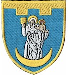 Шеврон 117 окрема бригада ТрО (Сумська область) (кольоровий)