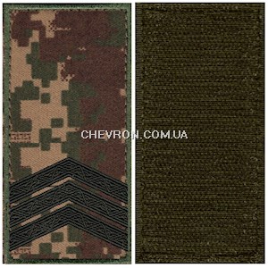 Погон НГУ сержант (кант зелений, на липучці)