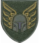 Шеврон 46 окрема десантно-штурмова бригада (шолом, крила)