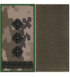 Погон ДПС полковник (з кантом, на липучці)