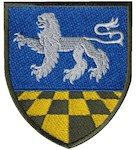 Шеврон 239 загальновійськовий полігон (кольоровий)