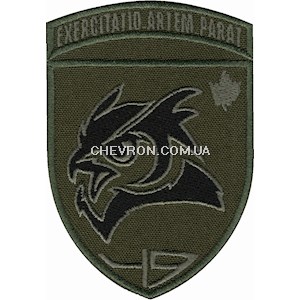 Шеврон 49 Навчальний центр розвідки