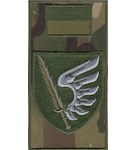 Шеврон-заглушка на липучці 79 ОДШБр (польовий прапорець)