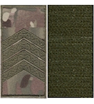 Погони Поліції охорони старший сержант (на липучці)