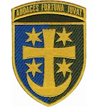 Шеврон 21 армійський корпус (кольоровий)