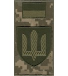Шеврон-заглушка на липучці Сухопутні війська (тризуб гірчиця, польовий прапорець)