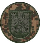 Шеврон НГУ Львів