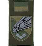 Шеврон-заглушка на липучці 25 повітряно-десантна бригада (орел, польовий прапорець)