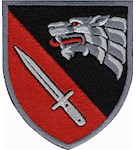 Шеврон 4 полк ССО Рейнджер (кольоровий)