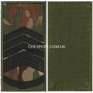 Погон НГУ головний майстер-сержант (на липучці)