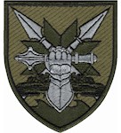 56 ОМПБр танковий батальйон