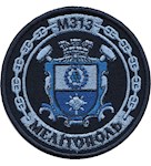 Шеврон М313 "Мелітополь"