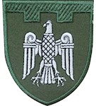 Шеврон 107 окрема бригада ТрО (Чернівецька область)