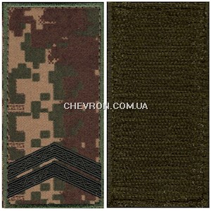 Погон НГУ молодший сержант (кант зелений, на липучці)