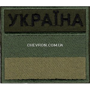 Прапорець прикордонної служби Україна (кант зелений)