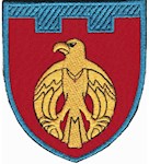 Шеврон 121 окрема бригада ТрО (Кіровоградська область) (кольоровий)