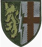 Шеврон 1 Галицько-Волинська РТБр