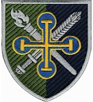 Шеврон 138 навчальний батальйон матеріального забезпечення (кольоровий)