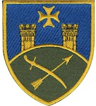 Шеврон 9 армійський корпус (кольоровий)