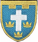 Шеврон 124 окрема бригада ТрО (Херсонська область) (кольоровий)
