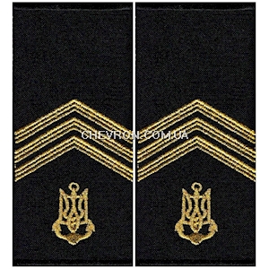 Погони ВМС старшина 1 статті (муфта)